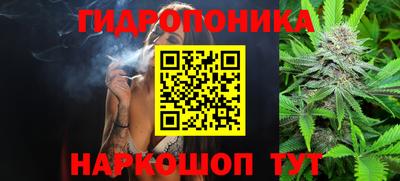 ГАЛЛЮЦИНОГЕННЫЕ ГРИБЫ Краснокаменск