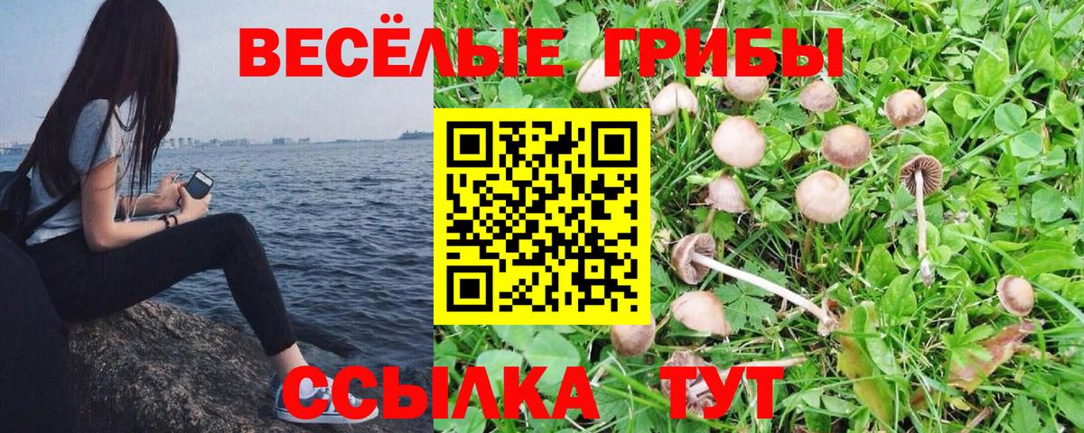 Псилоцибиновые грибы ЛСД  Псилоцибиновые грибы ЛСД  Вход с VPN  Кандалакша 